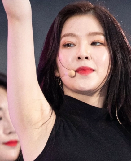 레드벨벳 아이린 미시겨