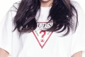 게스 수지