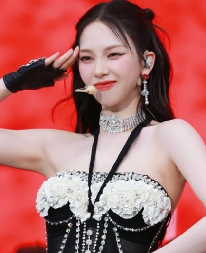 카리나의 맨드랑이 정면 포착된 경례 각도