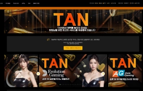 토지노 TAN 230먹튀 제보