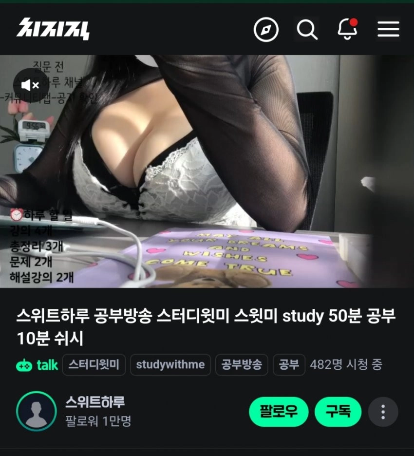 치지직 슴터디 BJ 스위트하루 후방주의