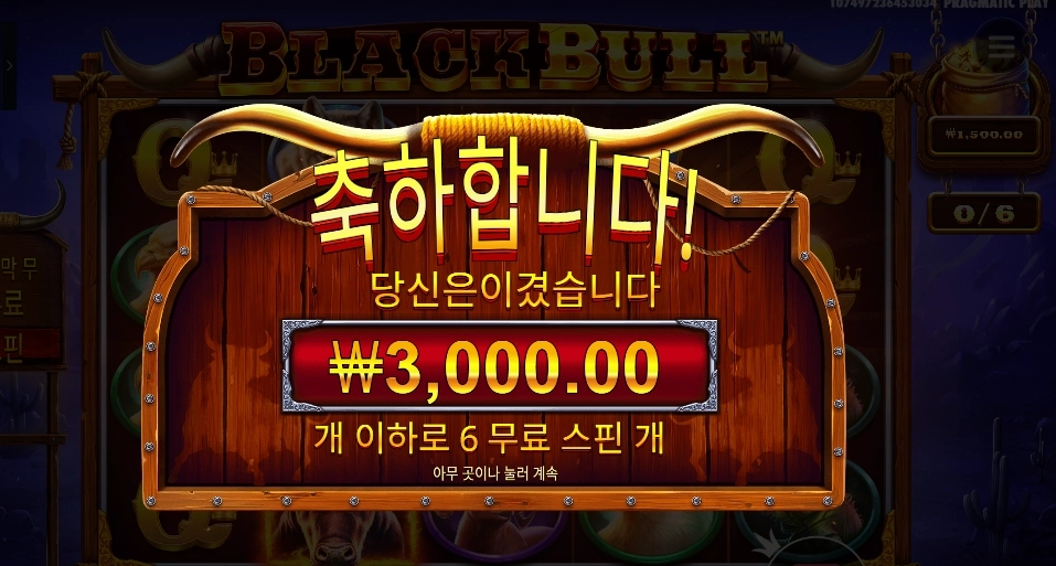 블랙 불 6스핀 후기