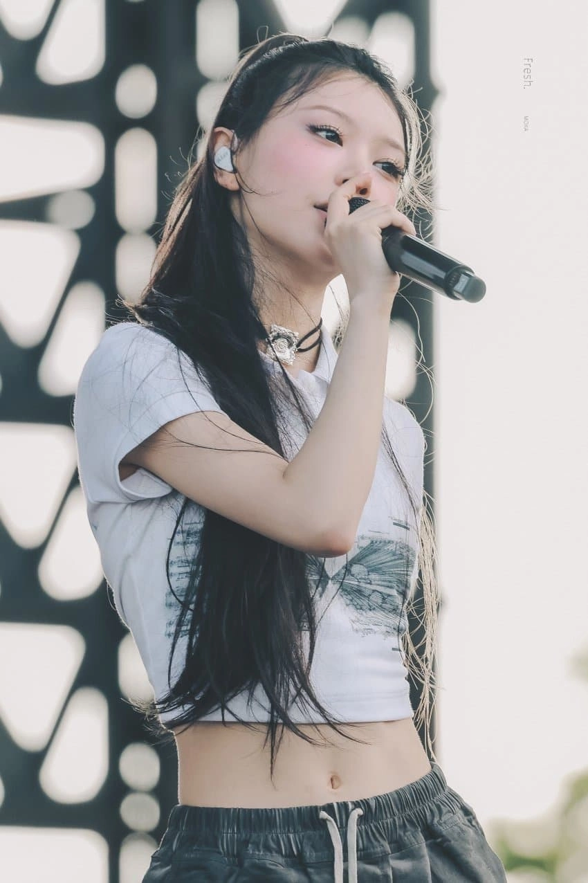 고양이상 아일릿 모카